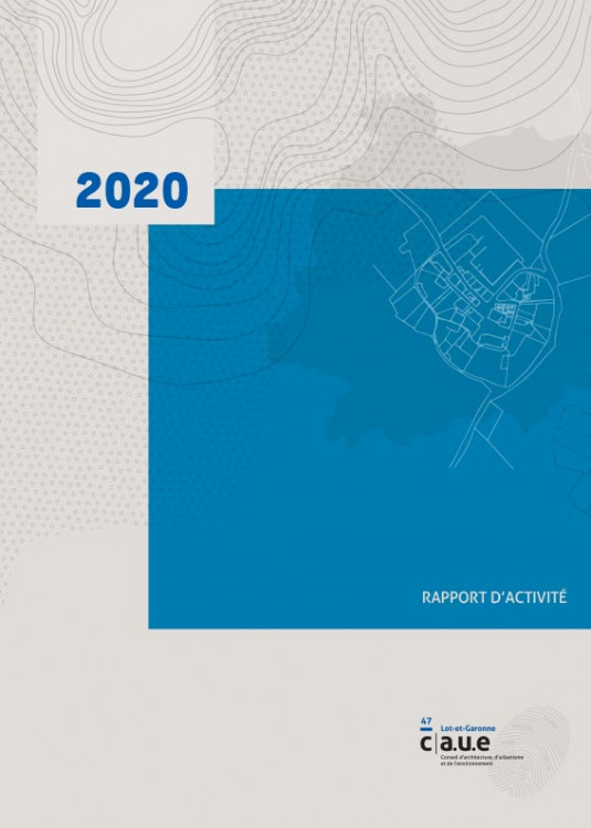 Rapport d'activites 2020